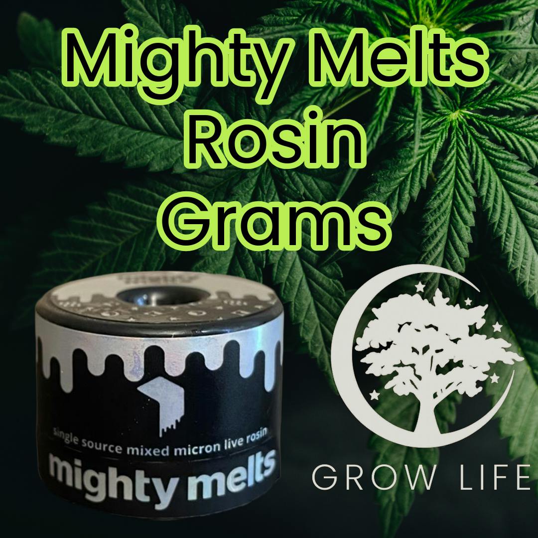 Mighty Melts Rosin Barry Bonds 1g (REC)