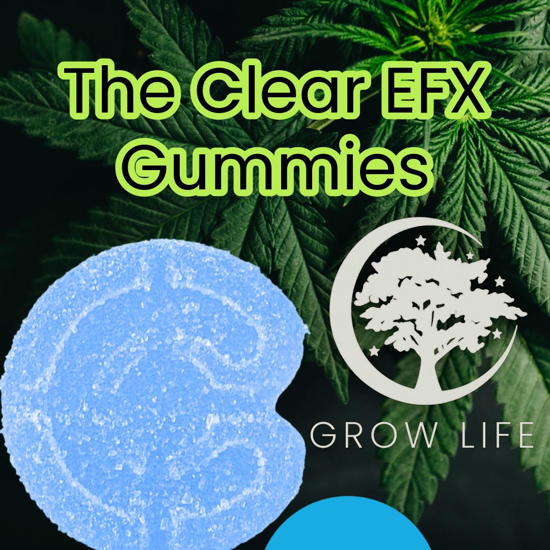 The Clear EFX Gummies Blue Raz 100mg (REC)
