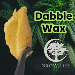 Dabble Wax Gelato 33 1g (MED)