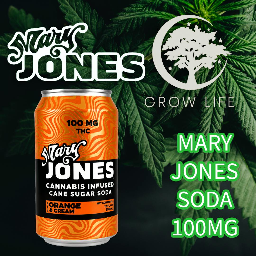 Mary Jones Soda Orange Cream 100mg (REC)