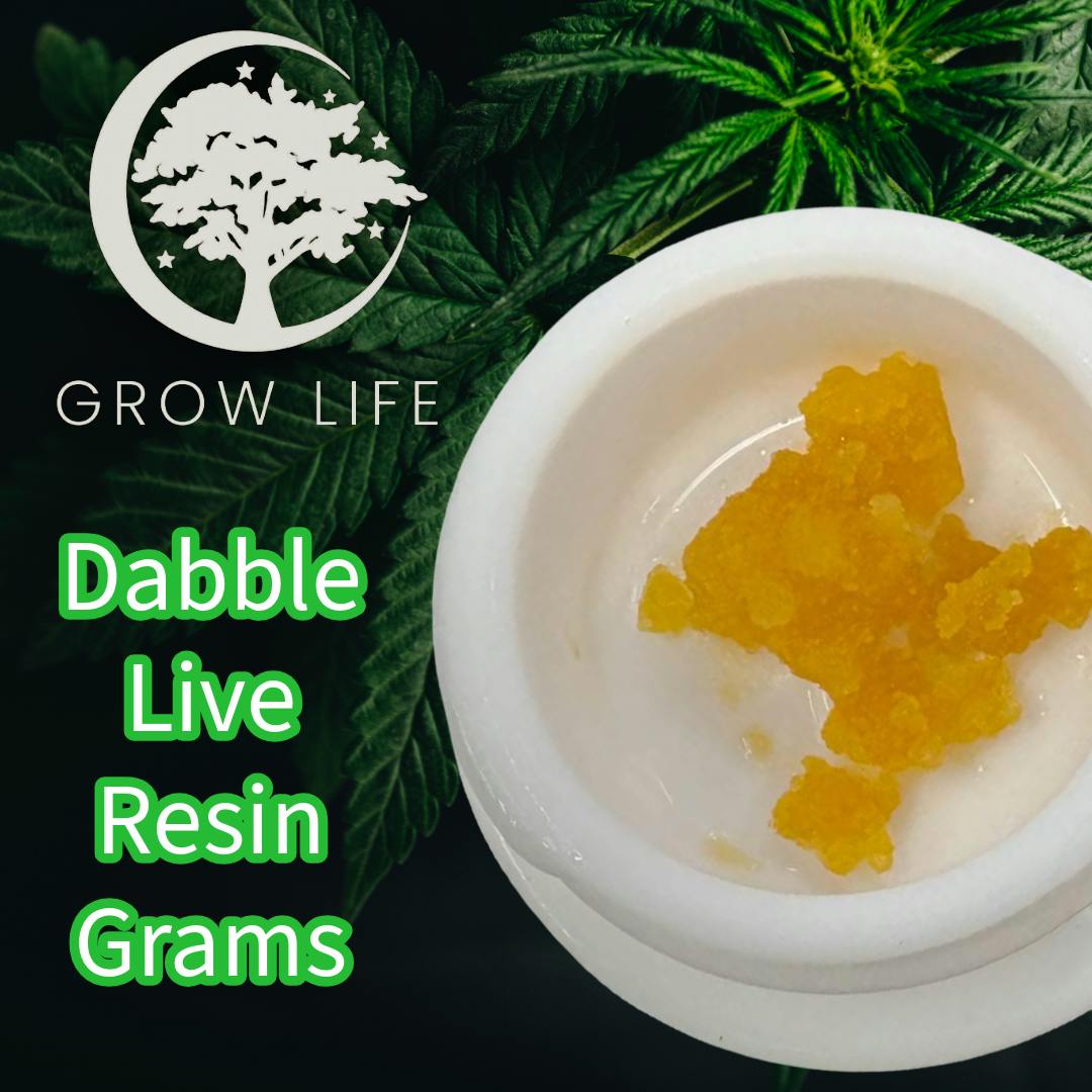 Dabble Live Resin Spritzer 1g (REC)