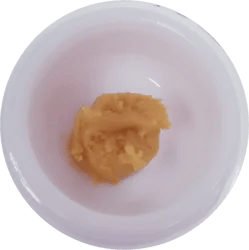 Dabble Wax Boofberry Brunch 1g (REC)