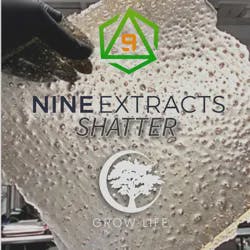 Nine Shatter Easy Bake 1g (MED)