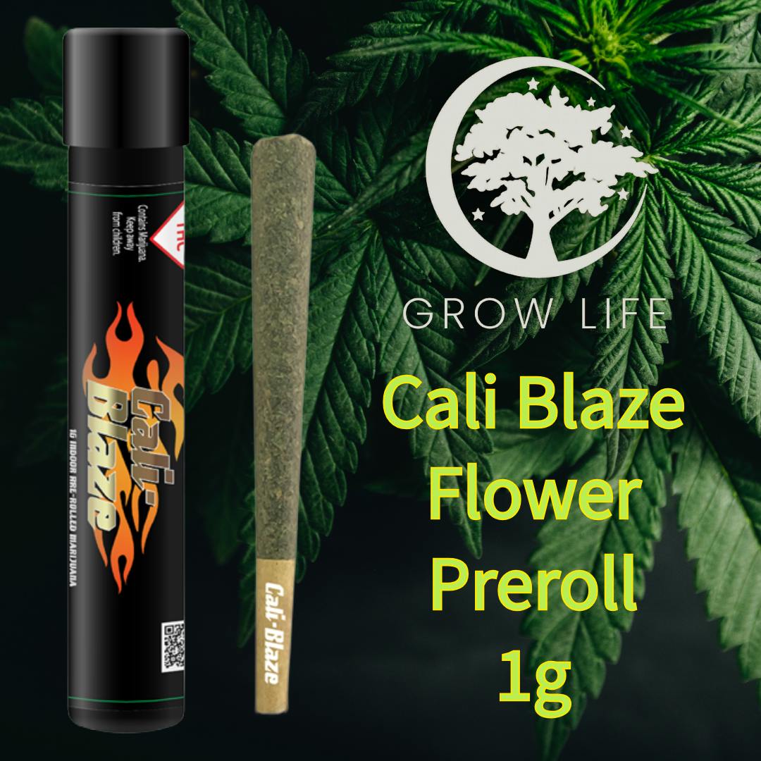 Cali Blaze Pre-Roll MAC n Jack 1g (REC)