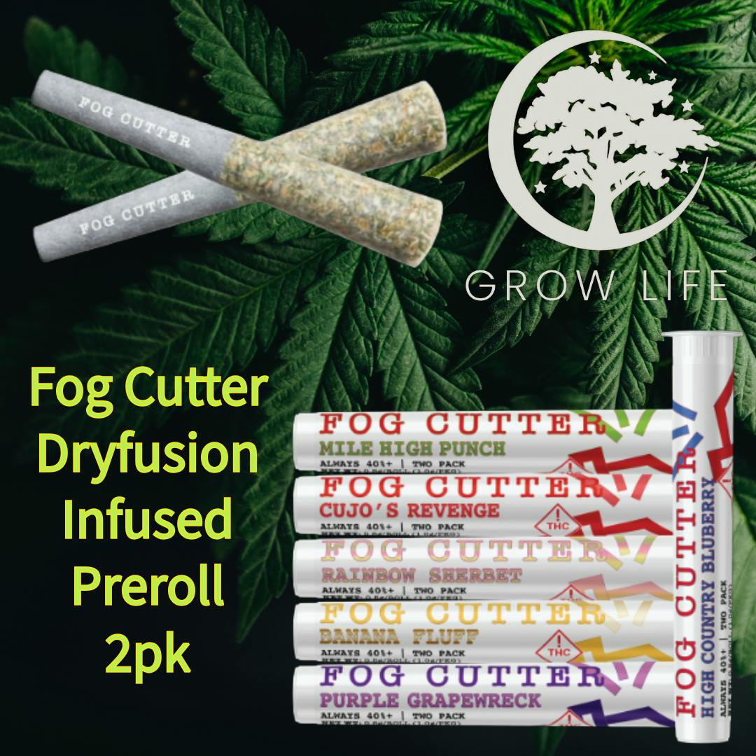 Fog Cutter Dryfusion Mile High Punch