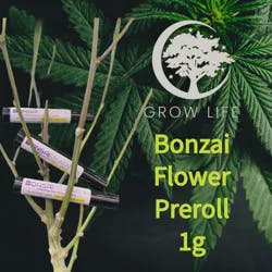 Bonsai Pre-Roll Sherbaccio 1g (REC)