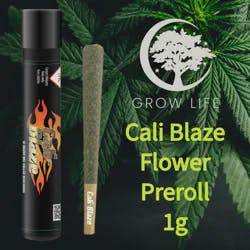 Cali Blaze Pre-Roll White Cake 1g (REC)