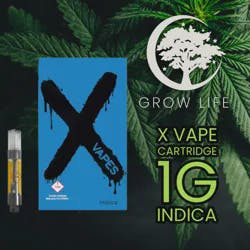 X Vape Cartridge Spritzer 1g (REC)