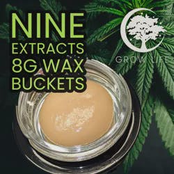 Nine Budder Pickle Rick 8g (MED)