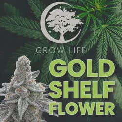 Berry Popz - GOld Shelf REC