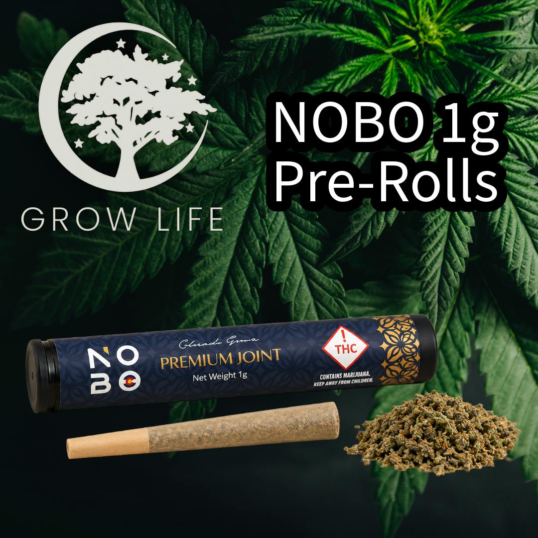 NOBO Pre-Roll Cake Pop 1g (REC)