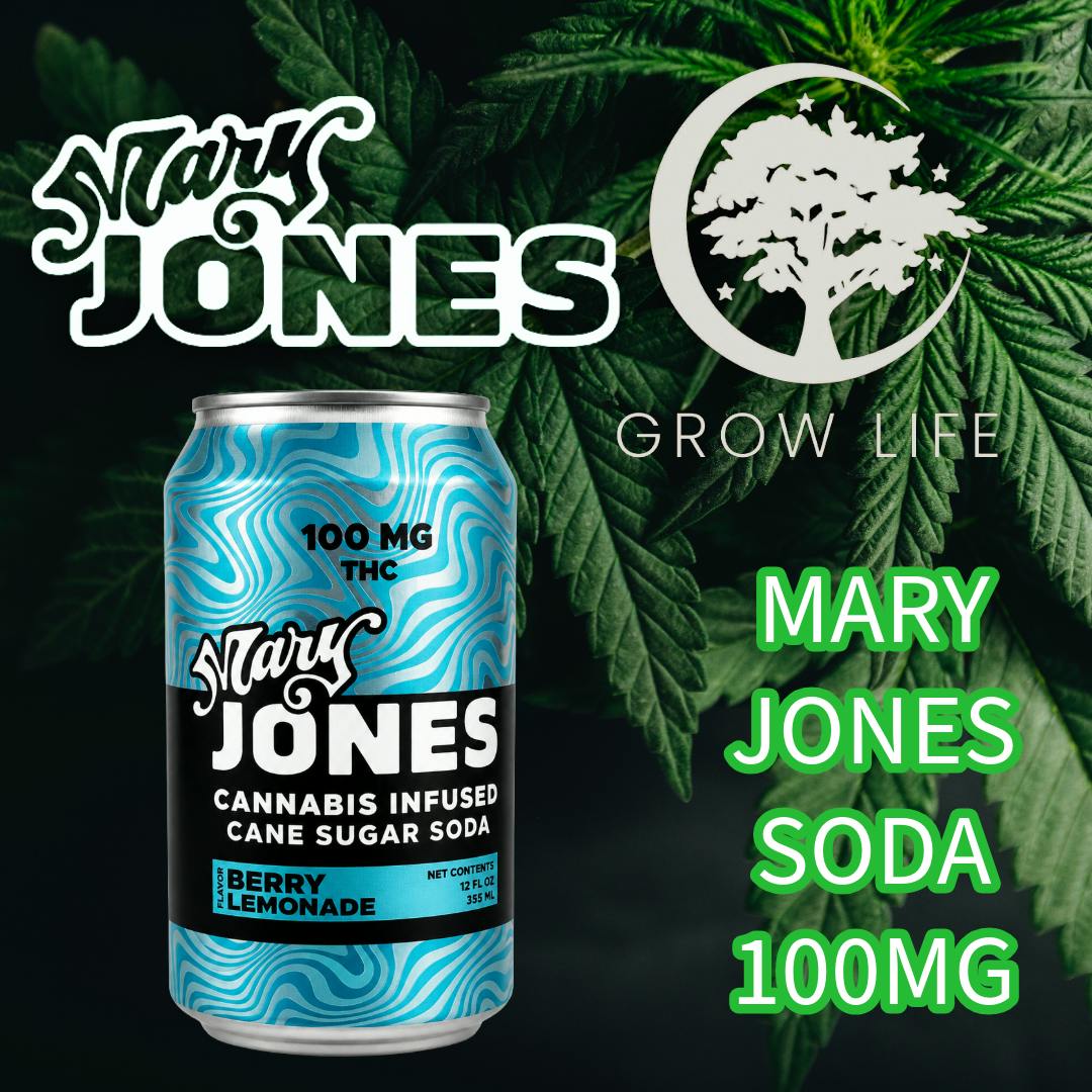 Mary Jones Soda Raspberry Lemonade 100mg (REC)