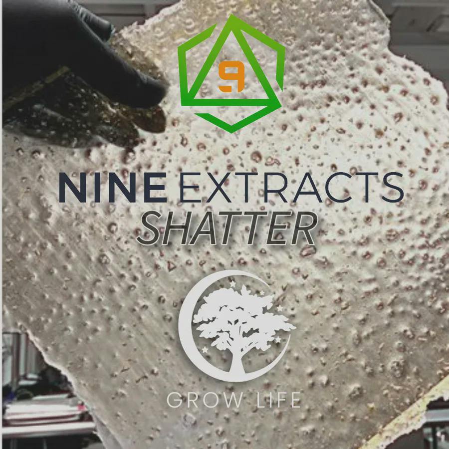 Nine Shatter Euphoria 1g (MED)