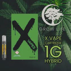 X Vape Cartridge Apple Fritter 1g (REC)