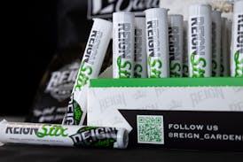 Cherry Fritter - 1.2g Reign Gardens - Infused Pre-Roll