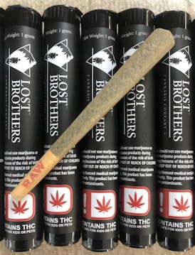 Jealousy - 1g Pre-Roll Lost Brothers
