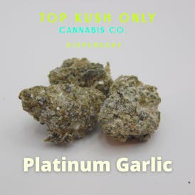 Platinum Garlic - Diamond Infused Flower - BudMaxx