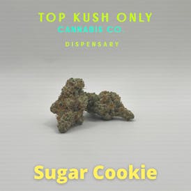 Sugar Cookie - OTOC