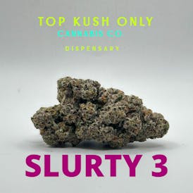 Slurty3 - Four Pillars