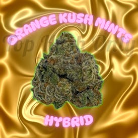 Orange Kush Mints - Gnomes Garden