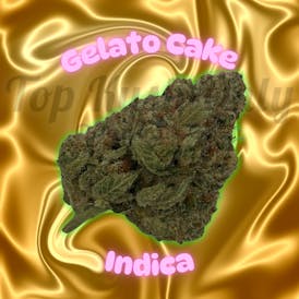 Gelato Cake - Elite Cultivation