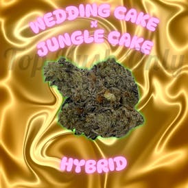 WEDDING CAKE X JUNGLE CAKE - THE HUB