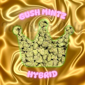 Gush Mintz - Golden Bloom Farms