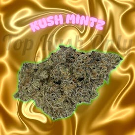 Kush Mintz - Lost Brother