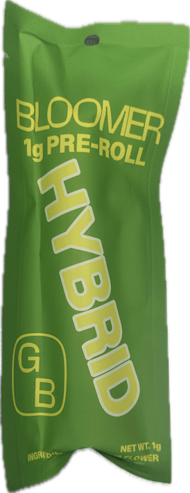 Zacks Cake - 1g Bloomer Preroll