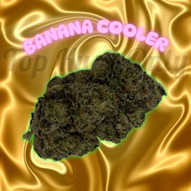 BANANA COOLER - The Hub