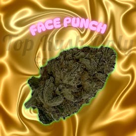 Face Punch - The Hub