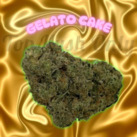 Gelato Cake - Elite Cultivation
