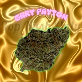 Gary Payton - The Hub
