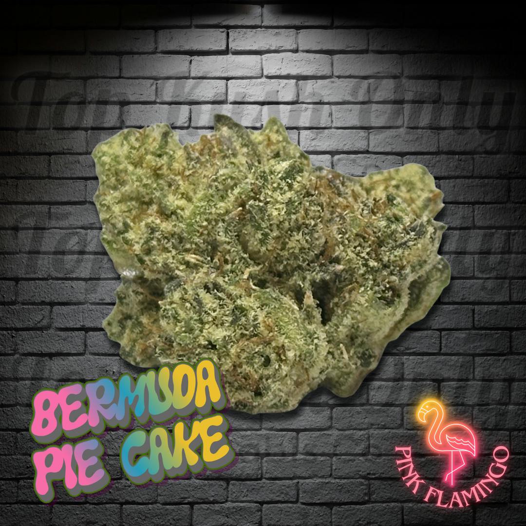 918 BERMUDA PIE CAKE - 3.5g