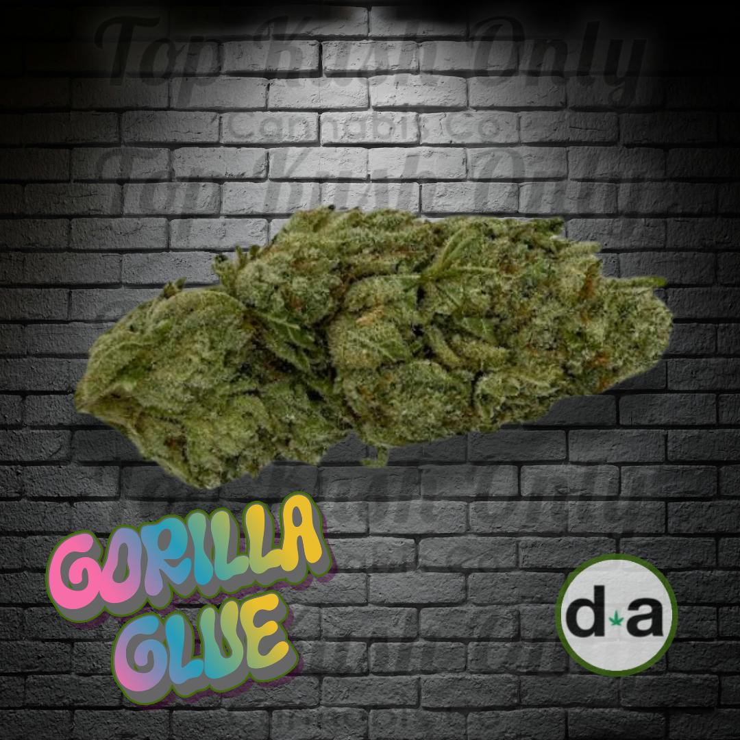 Gorilla Glue - PRE PACKED - 3.5G- DOA