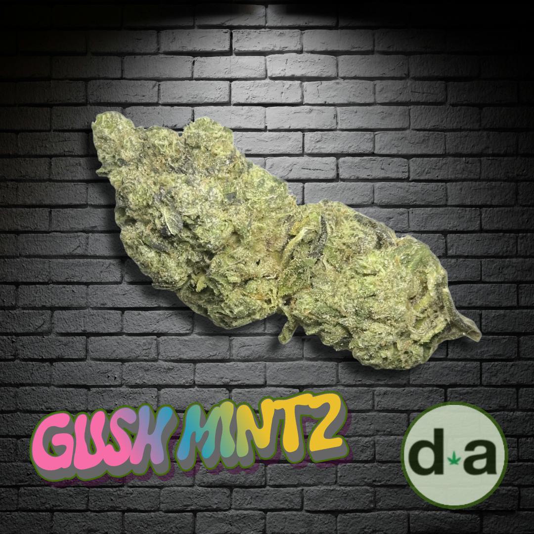 Gush Mintz - PRE PACKD - 3.5 - DOA