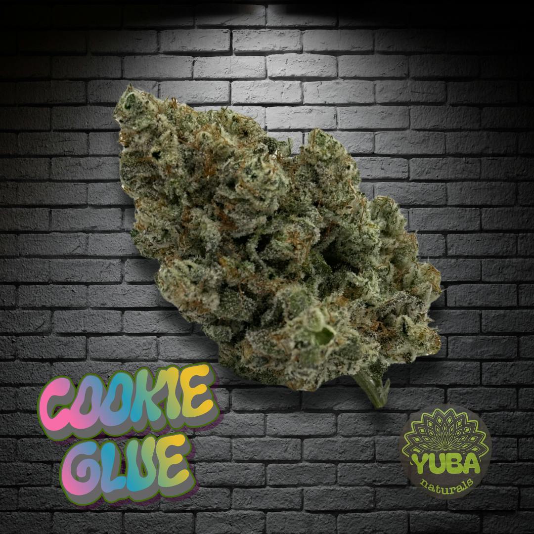 Cookie Glue - PREPACKED - 3.5g - YUBA