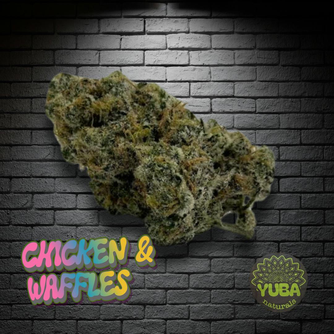 Chicken N Waffles - PREPACKED - 3.5g - YUBA