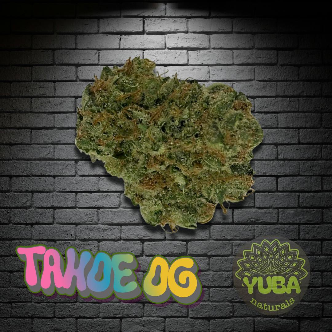 Tahoe OG - PREPACKED - 3.5G - YUBA