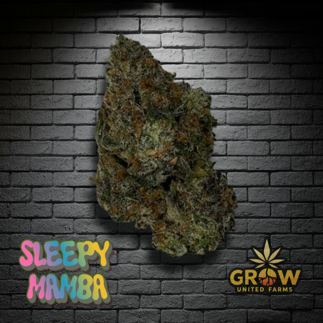 SLEEPY MAMBA - Grow United Farms - 3.5g