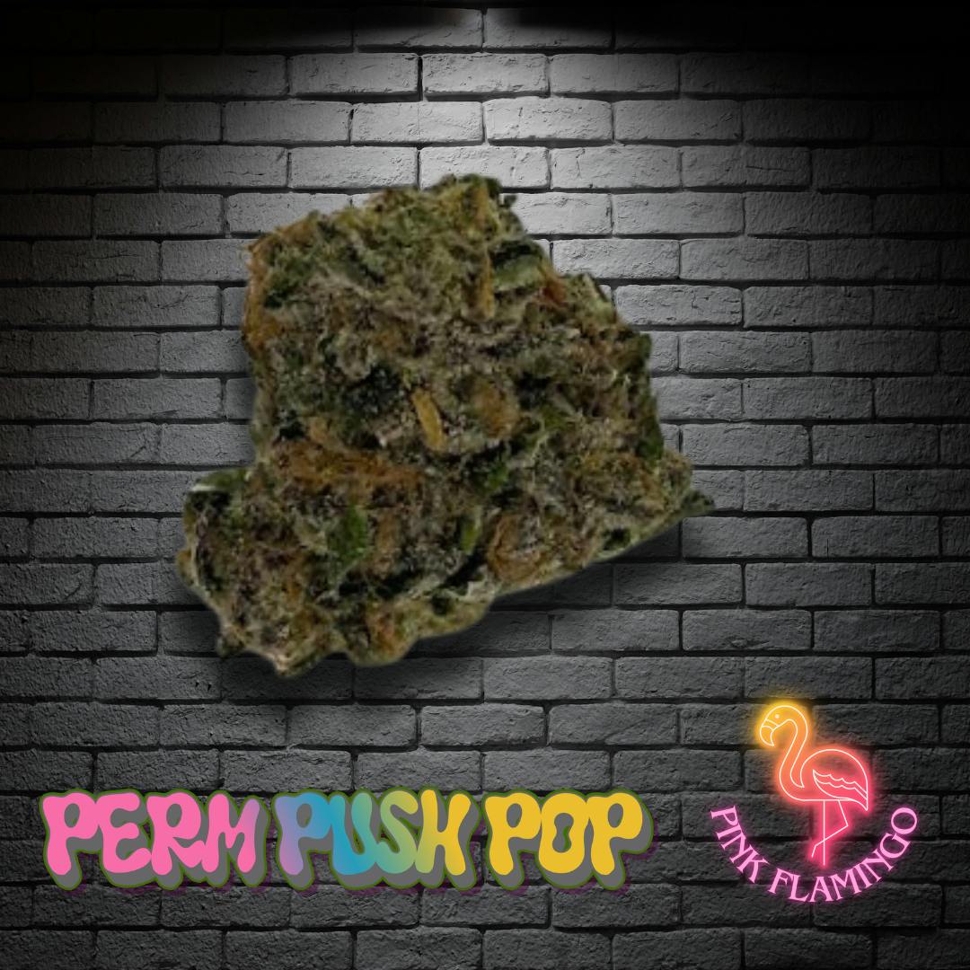 Pink Flamingo - 918 PERMANENT PUSH POP - 3.5g