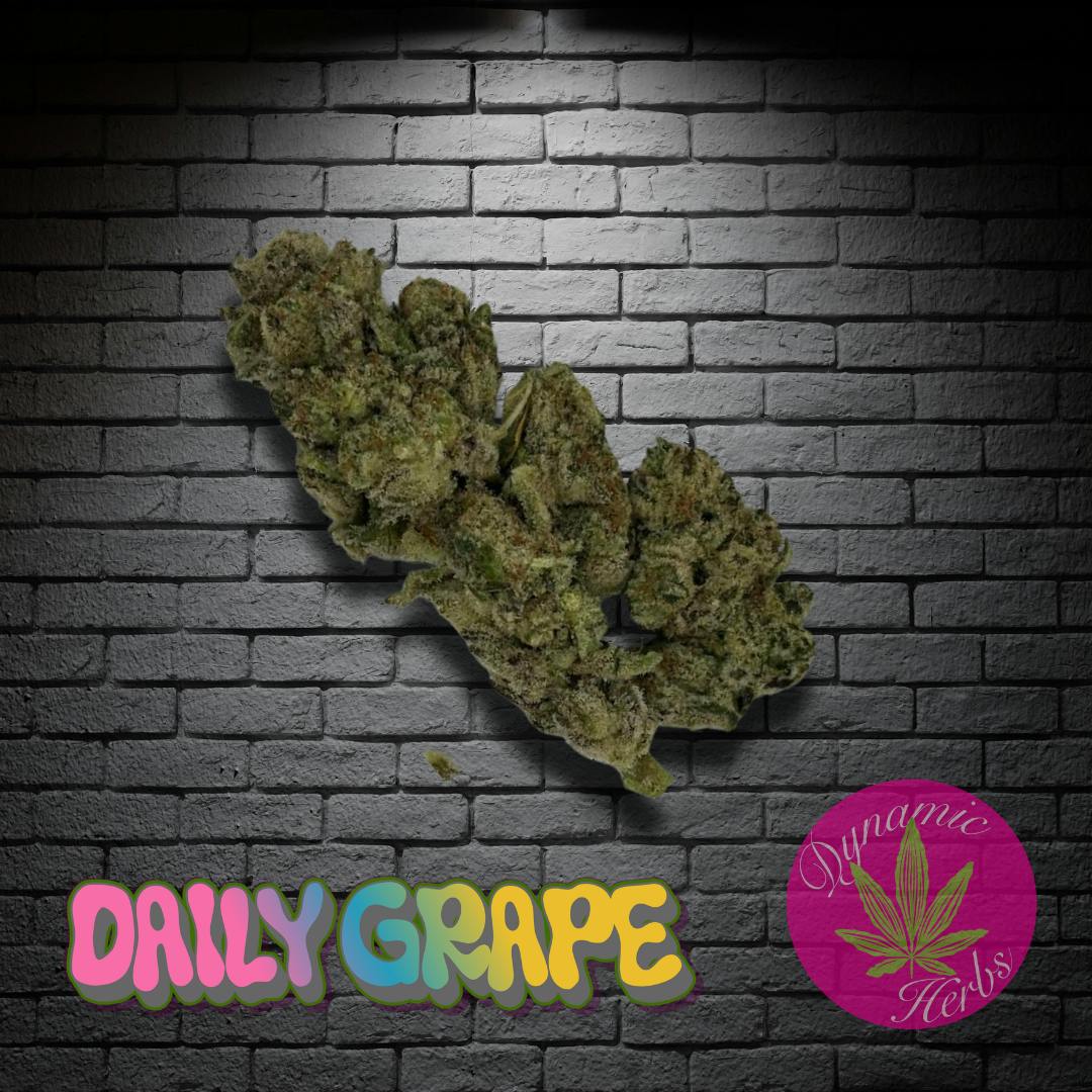 Dynamic Herbs - Daily Grape - 3.5g