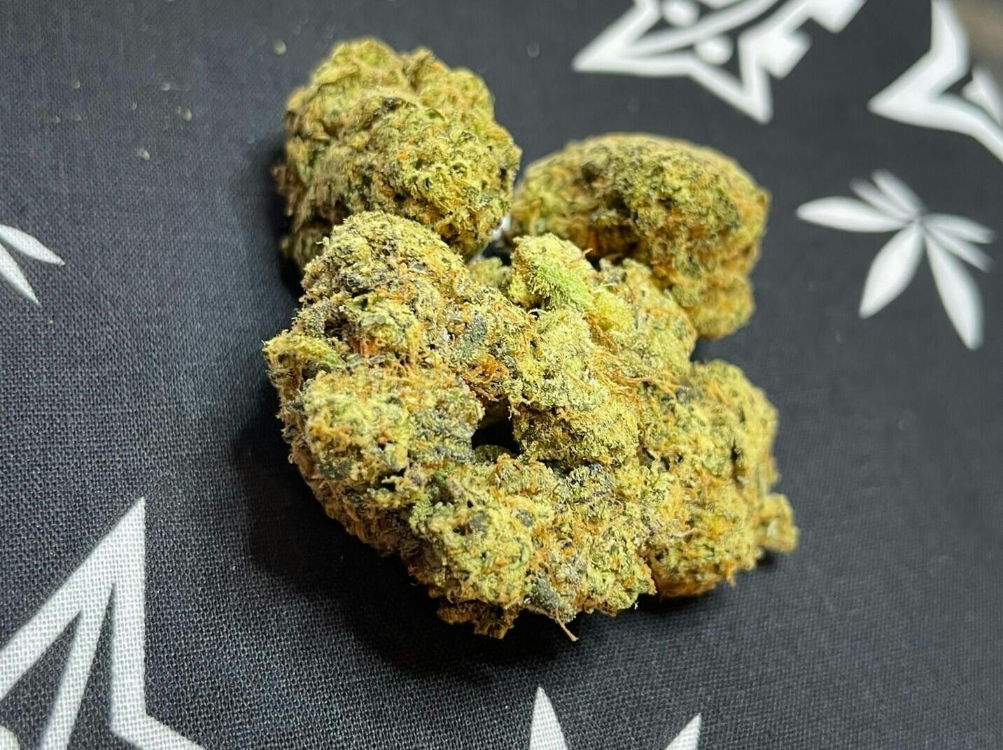 Zprite - 3.5 PREPACK - SPACE CACTUS