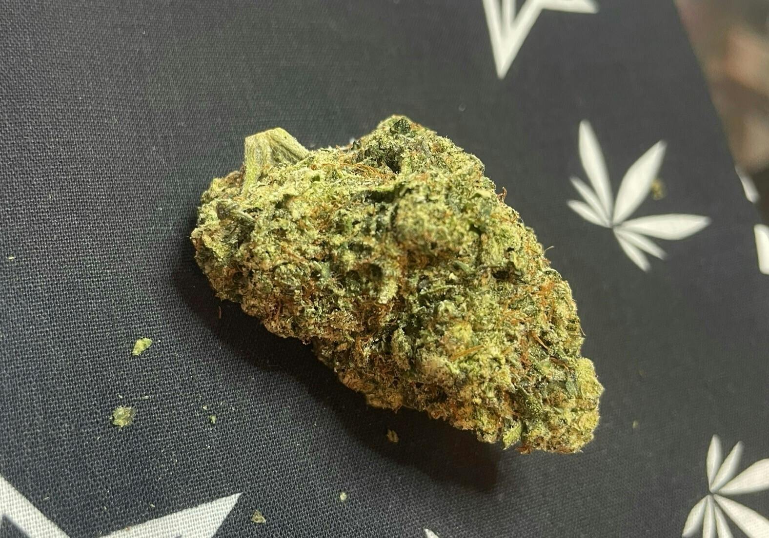 WiFi OG - 3.5g Pre Pack - Golden Bloom