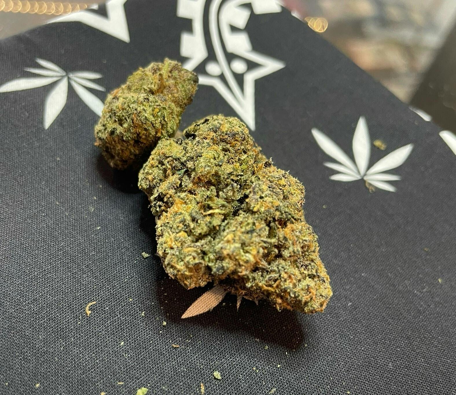 Zaza - 3.5g Pre Pack - Golden Bloom