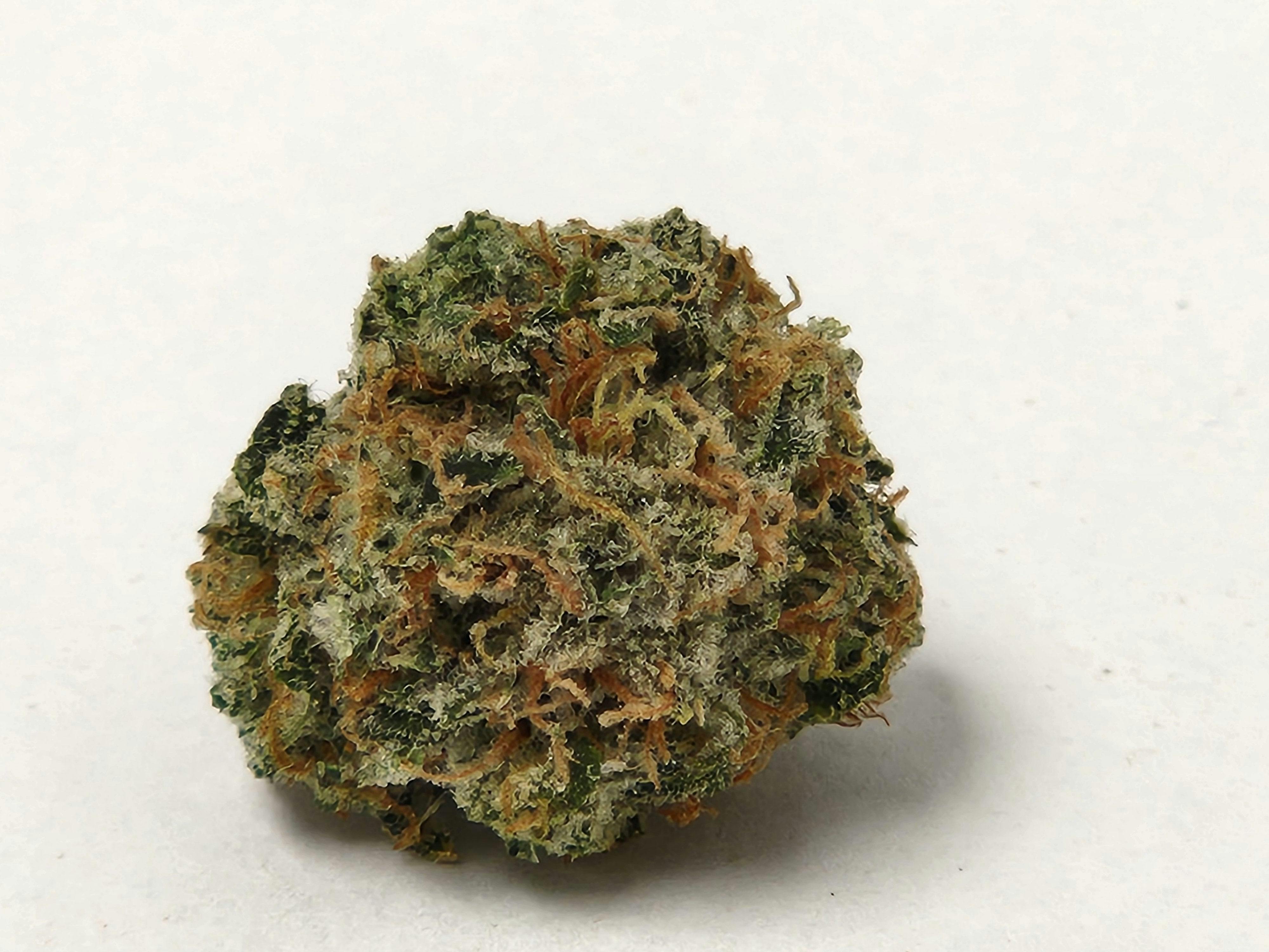 Lemon Ice Pucker Flower (SH) | $40 1/8th | DDIII