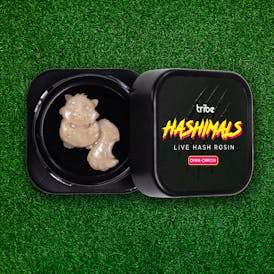Omni-Chron - Hashimals - Live Hash Rosin - Squirrel
