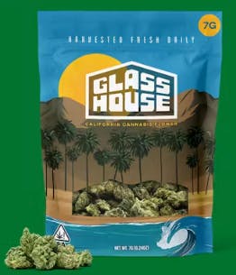 Glass House: Hella Jelly