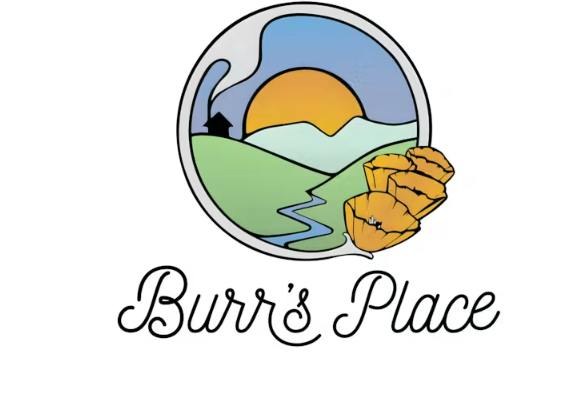 Burr's Place - The Daily Driver - 10pk Pre-Rolls - 7g *ALL PRICES INCLUDE TAX*