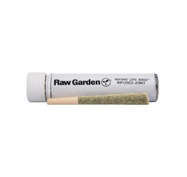 Raw Garden: Green Mango